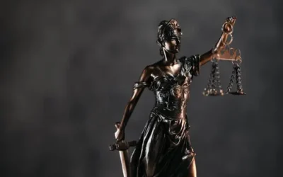 Classe di laurea in Scienze dei Servizi Giuridici L-14: Guida per Neodiplomati