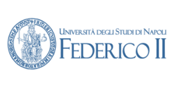 Logo Università degli Studi di Napoli Federico II